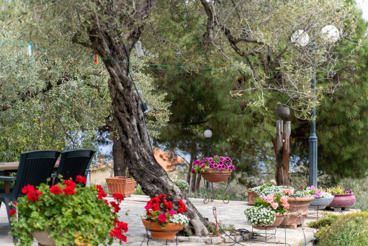 Villa Elia Kavala - Mediterranean Holiday Villa PalaiónTsiflíkion Exteriér fotografie
