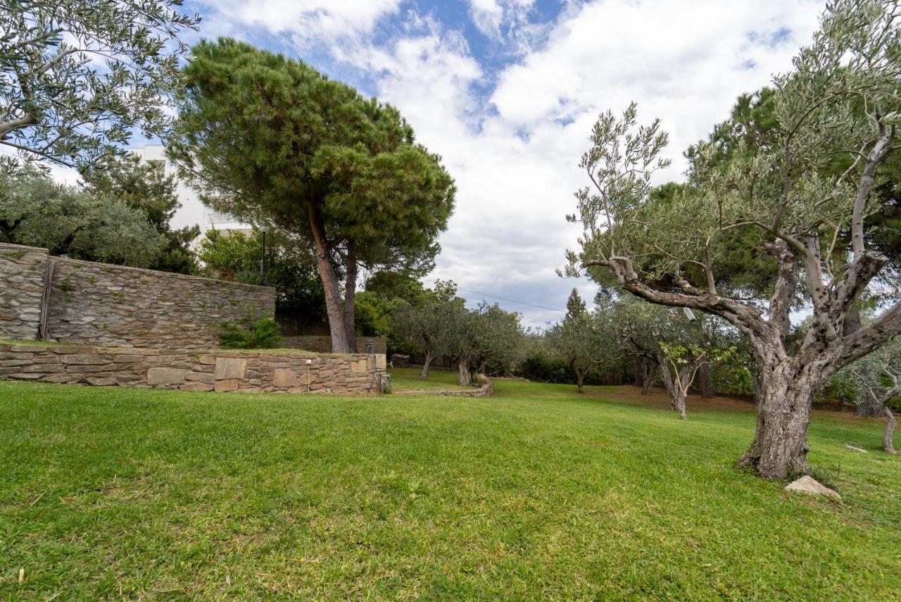 Villa Elia Kavala - Mediterranean Holiday Villa PalaiónTsiflíkion Exteriér fotografie