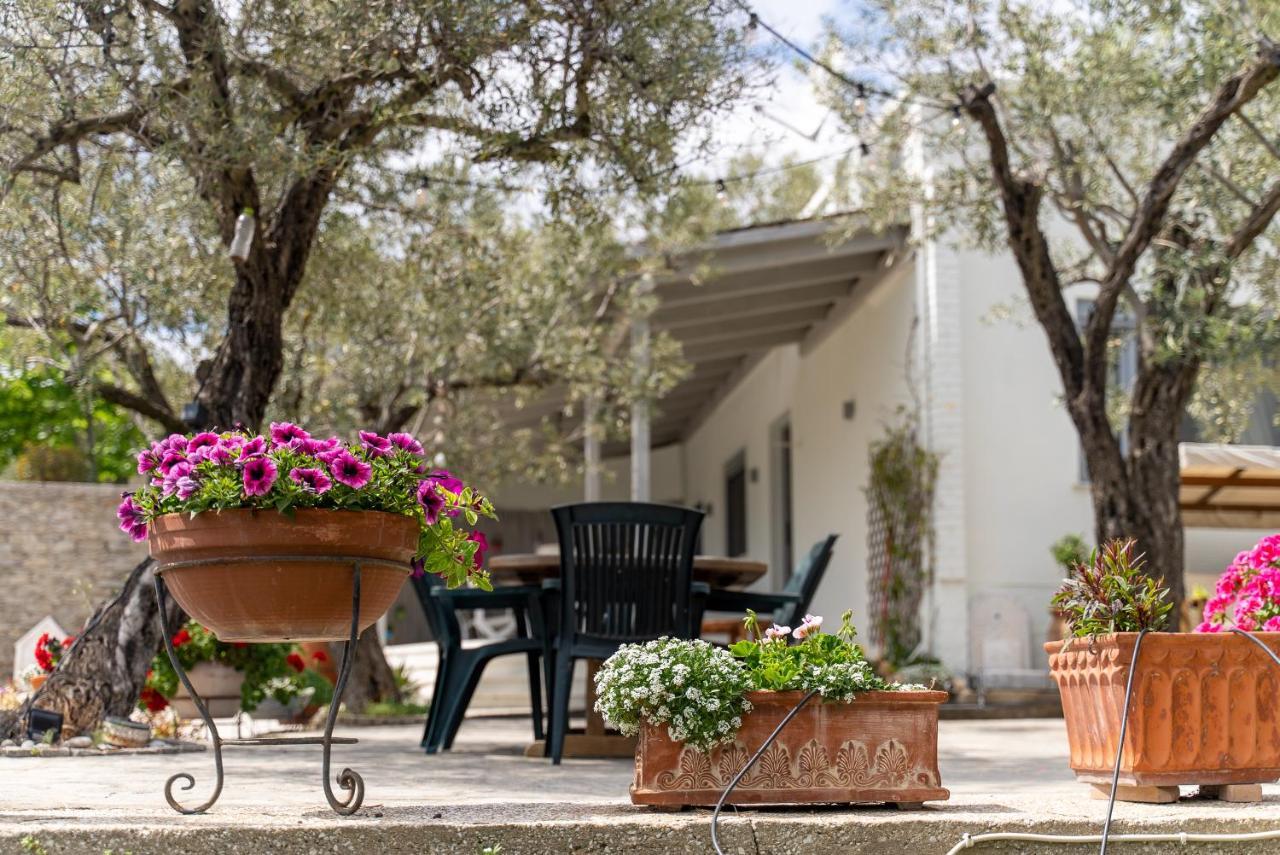 Villa Elia Kavala - Mediterranean Holiday Villa PalaiónTsiflíkion Exteriér fotografie